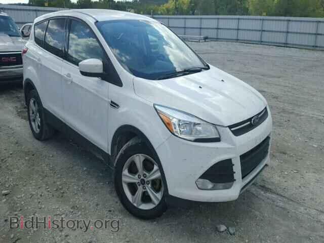 Фотография 1FMCU0GX9DUB09698 - FORD ESCAPE 2013