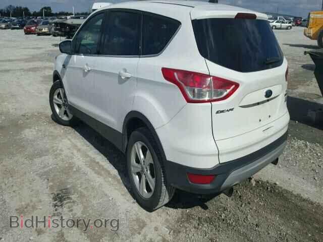 2013 FORD ESCAPE - VIN: 1FMCU0GX9DUB09698 - Фото 3