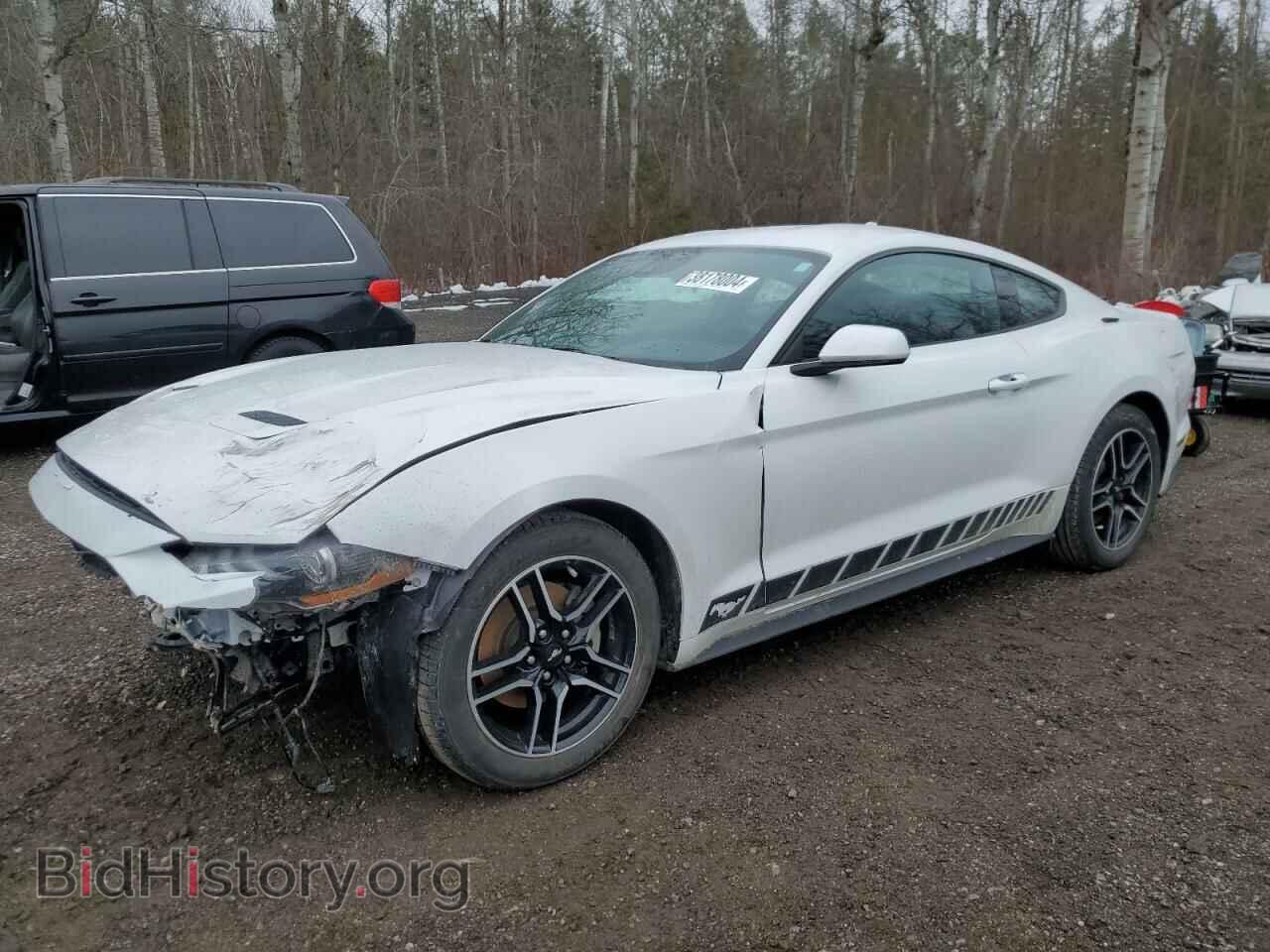Photo 1FA6P8TH7M5116896 - FORD ALL Models 2021