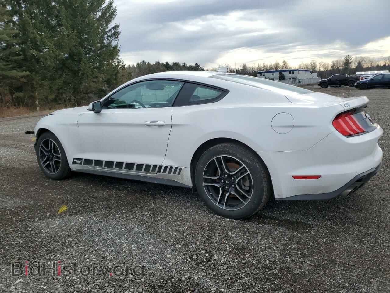 2021 FORD ALL Models - VIN: 1FA6P8TH7M5116896 - Фото 2
