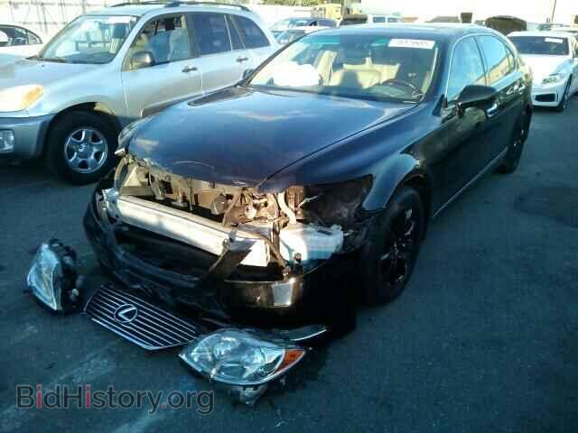 2009 LEXUS LS460 - VIN: JTHGL46F195035167 - Фото 2