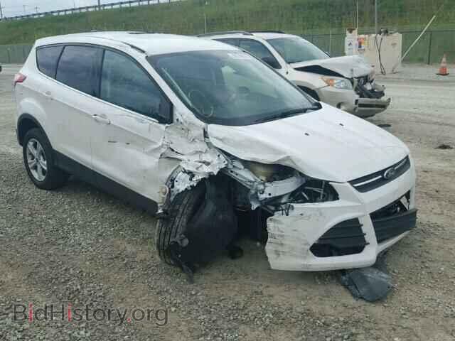 Фотография 1FMCU0GX8EUB95121 - FORD ESCAPE 2014