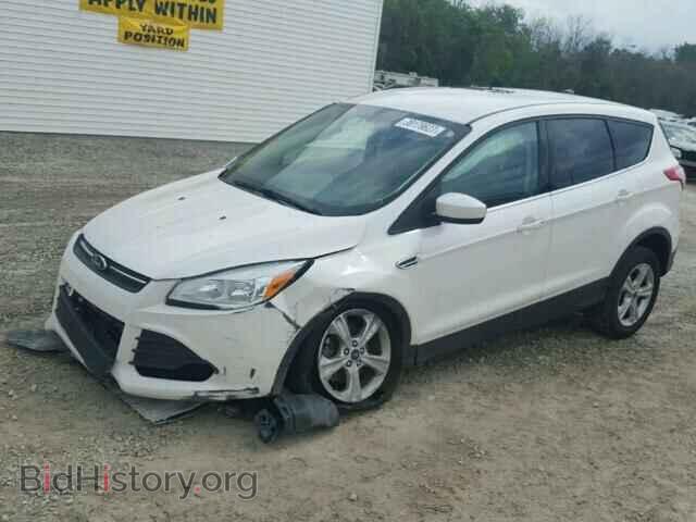 2014 FORD ESCAPE - VIN: 1FMCU0GX8EUB95121 - Фото 2