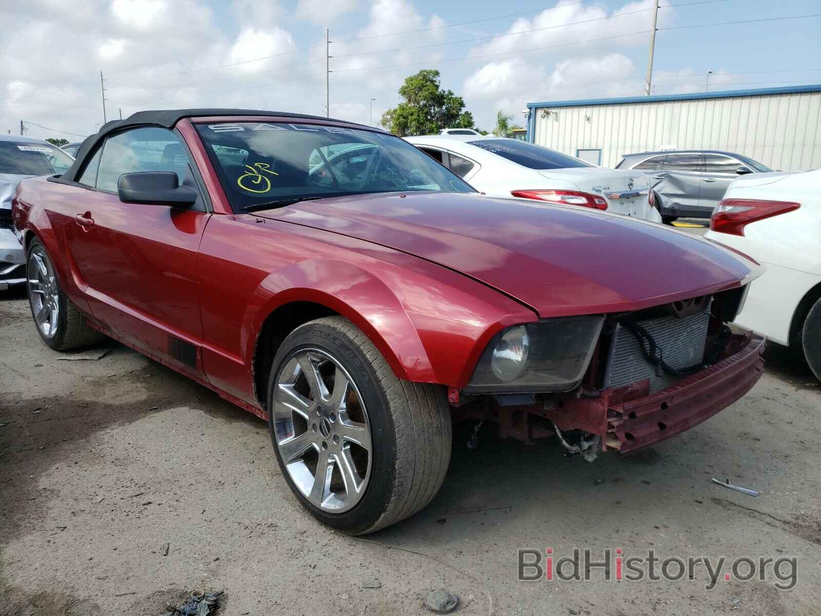 Photo 1ZVFT85H665215020 - FORD MUSTANG 2006