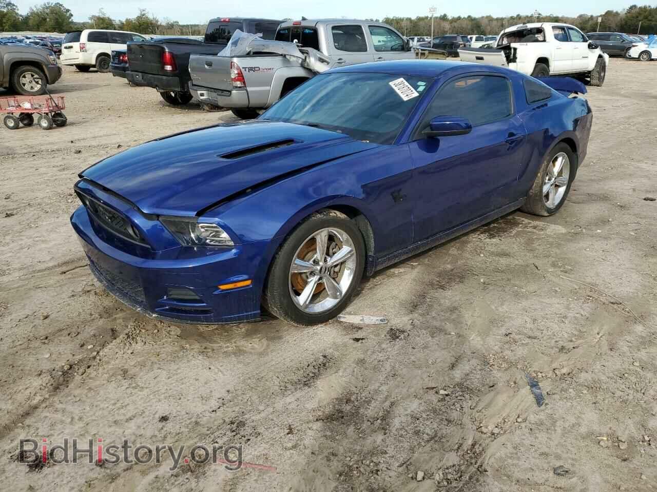 Photo 1ZVBP8CF2E5269224 - FORD MUSTANG 2014