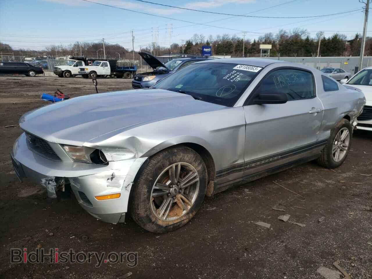 Фотография 1ZVBP8AM4B5151303 - FORD MUSTANG 2011