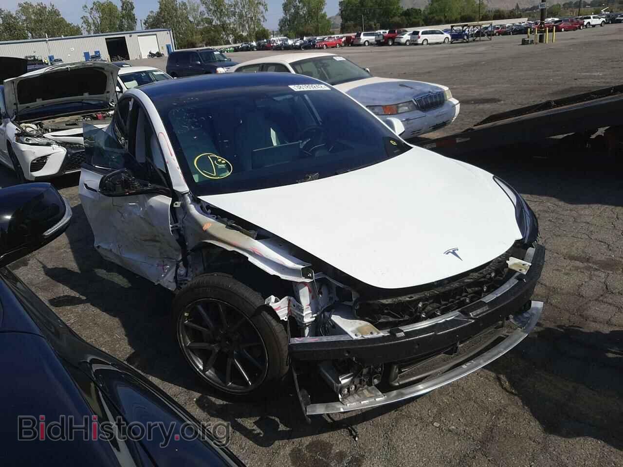 Photo 5YJ3E1EA5MF000704 - TESLA MODEL 3 2021