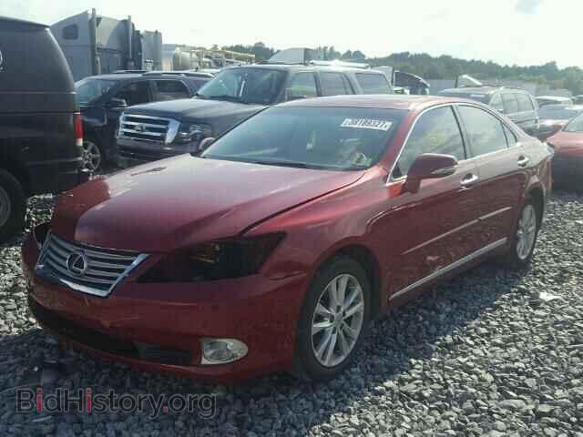 2011 LEXUS ES 350 - VIN: JTHBK1EG0B2468248 - Фото 2