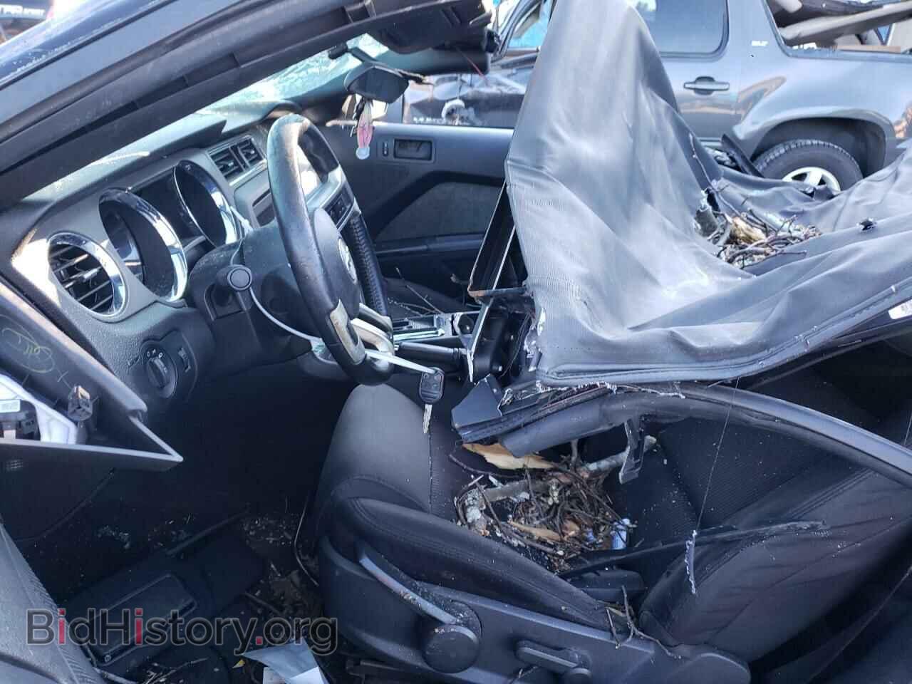 2013 FORD MUSTANG - VIN: 1ZVBP8EM1D5229940 - Фото 7