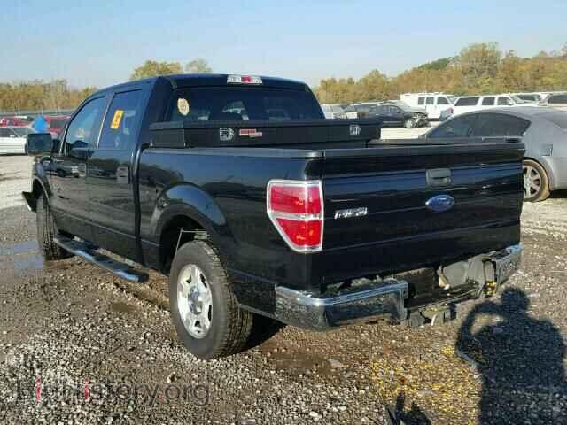 2009 FORD F150 - VIN: 1FTPW12VX9FA96743 - Фото 3