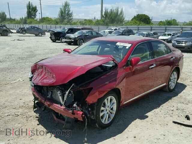 2011 LEXUS ES350 - VIN: JTHBK1EG8B2466313 - Фото 2