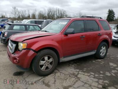 2010 Ford ESCAPE Escape XLT, красный — VIN 1FMCU0D74AKA31407, Copart