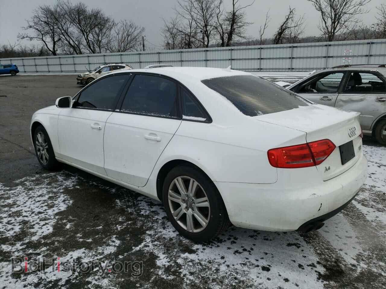 2010 AUDI A4 - VIN: WAUBFAFL4AN012488 - Фото 2