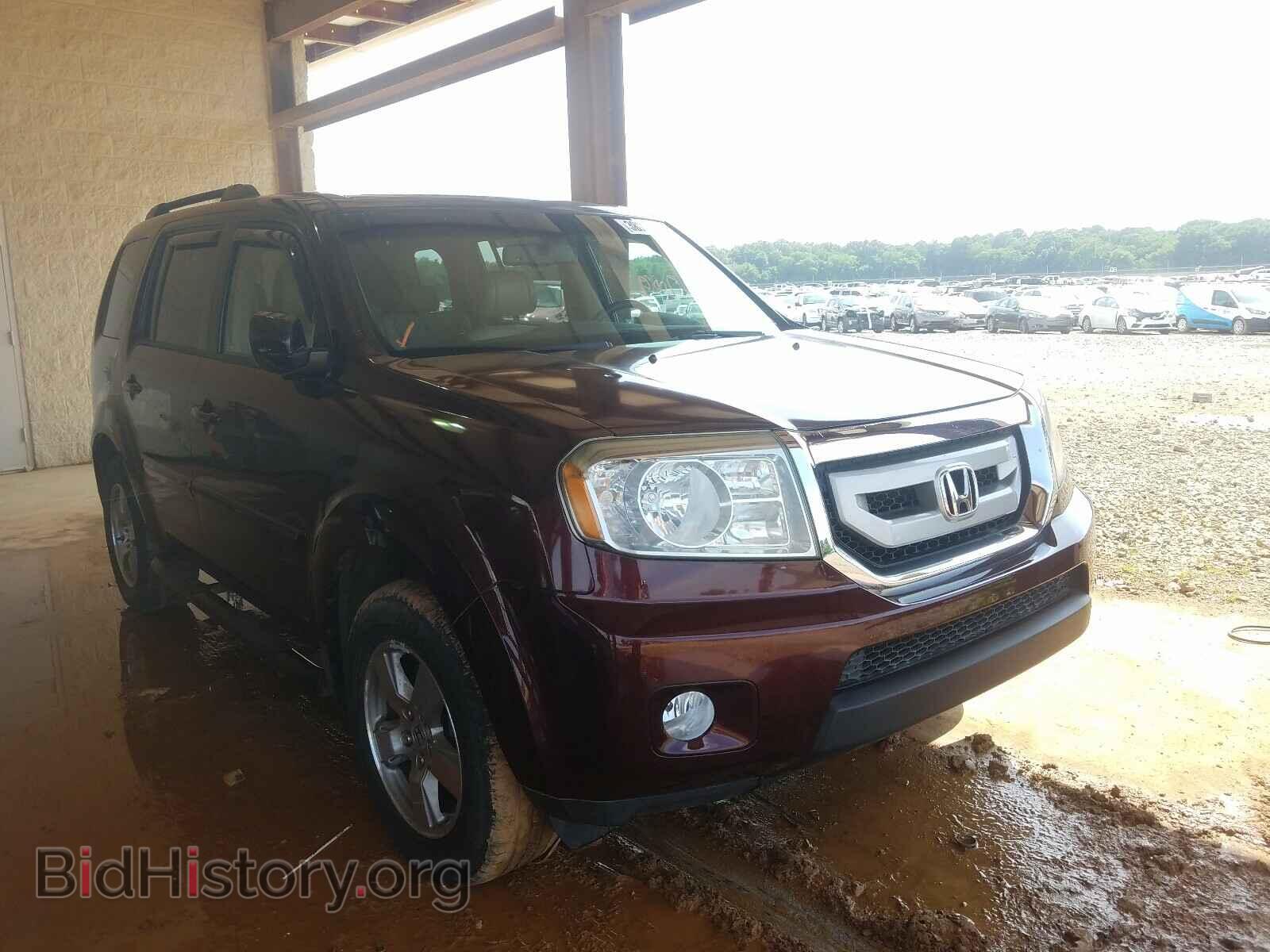 Фотография 5FNYF48639B022199 - HONDA PILOT 2009