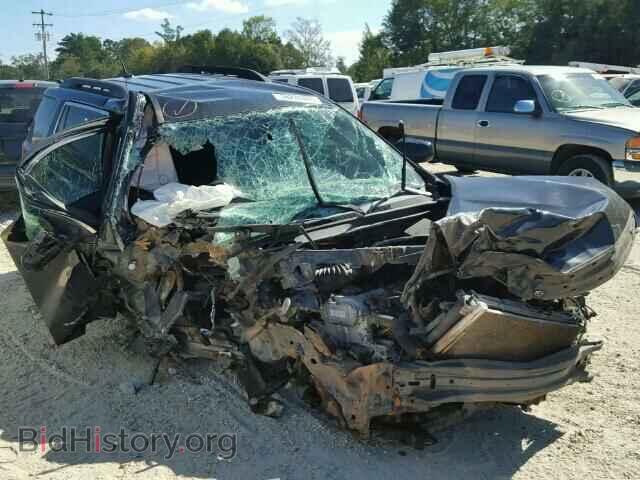 Photo 2CTALDEW5A6245938 - GMC TERRAIN 2010