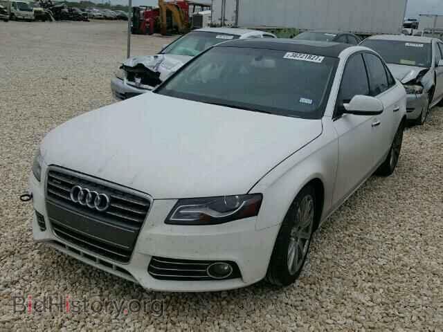 2010 AUDI A4 - VIN: WAUFFAFL8AN058942 - Фото 2
