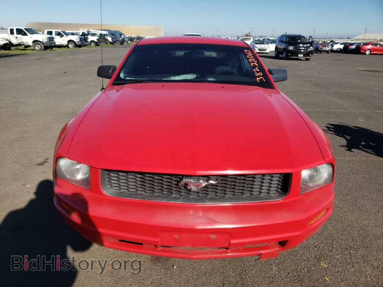 2009 FORD MUSTANG - VIN: 1ZVHT80N095122682 - Фото 5