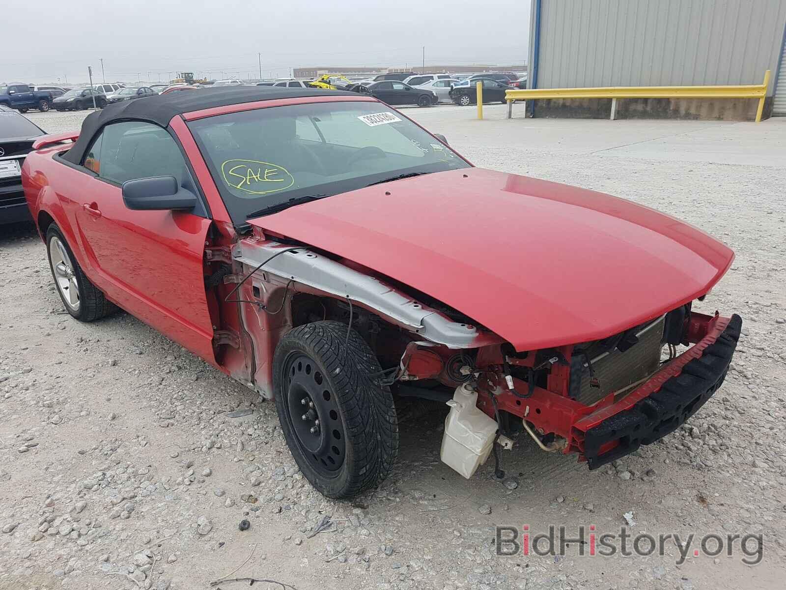 Photo 1ZVHT85H965188467 - FORD MUSTANG 2006