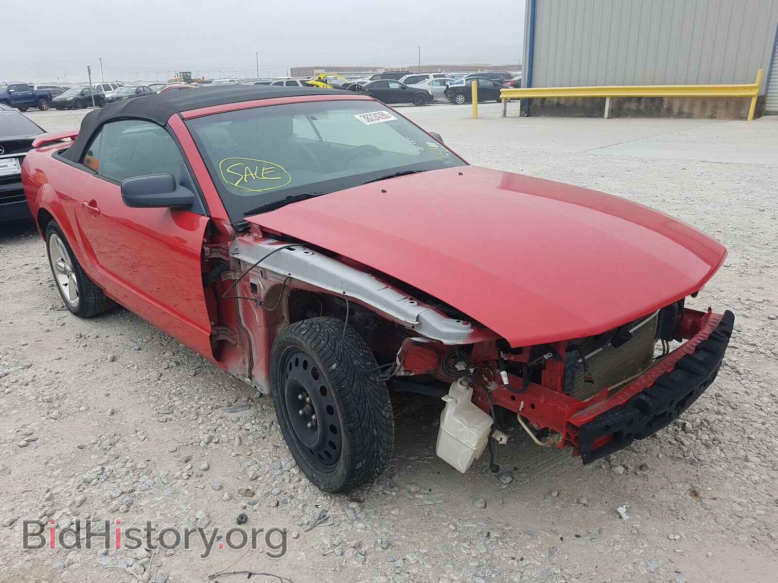 Photo 1ZVHT85H965188467 - FORD MUSTANG 2006