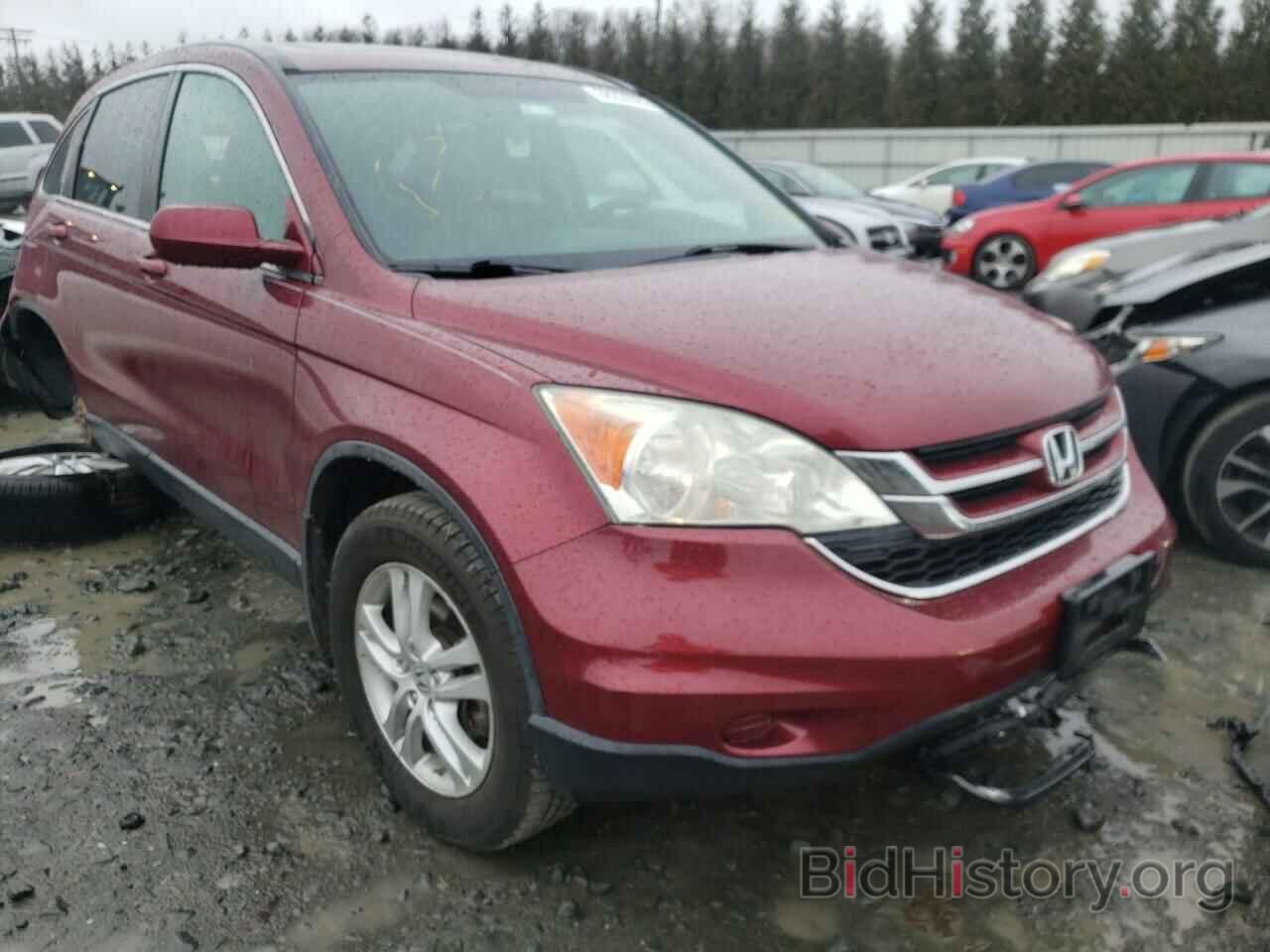 Photo 5J6RE4H73AL070071 - HONDA CRV 2010