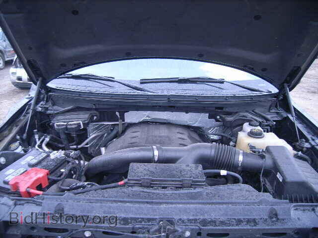 2013 FORD F150 - VIN: 1FTFX1ET4DFA14582 - Фото 7