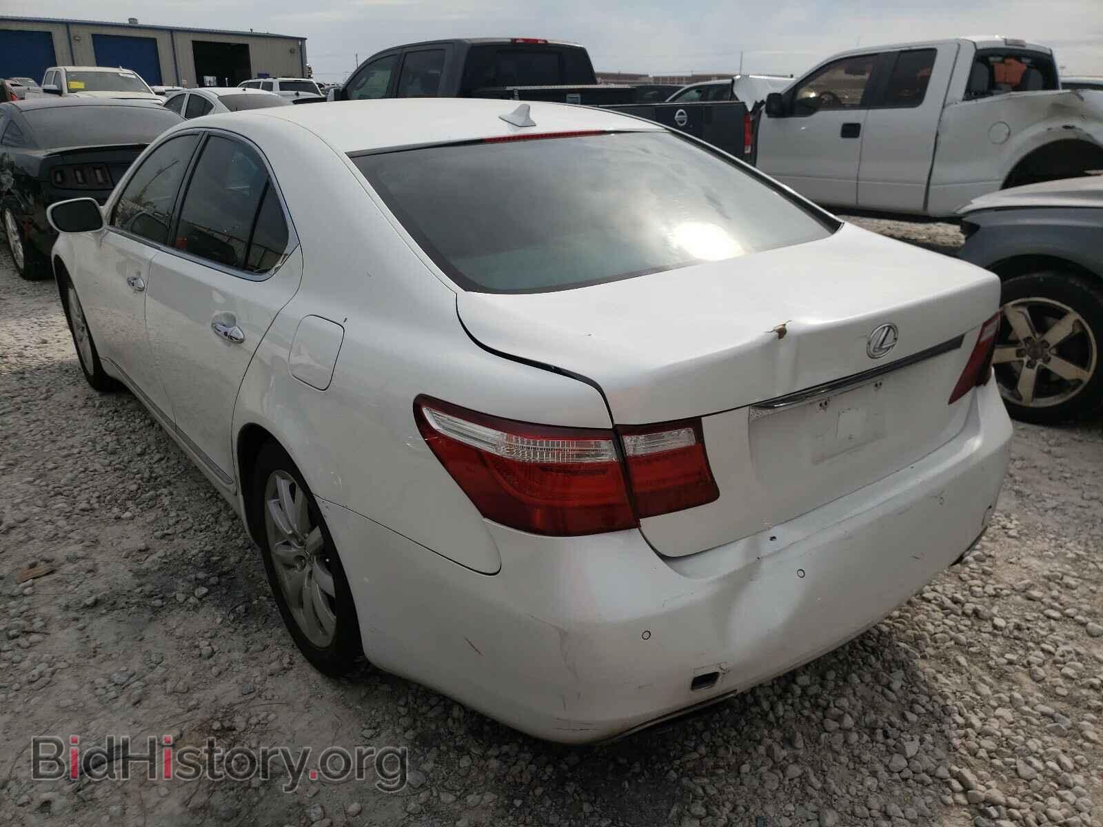 2008 LEXUS LS460 - VIN: JTHBL46F885077263 - Фото 3