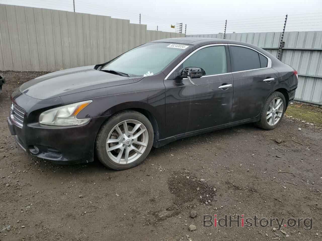 Photo 1N4AA5AP8AC804269 - NISSAN MAXIMA 2010