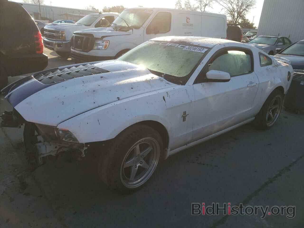 Photo 1ZVBP8AM9D5235586 - FORD MUSTANG 2013