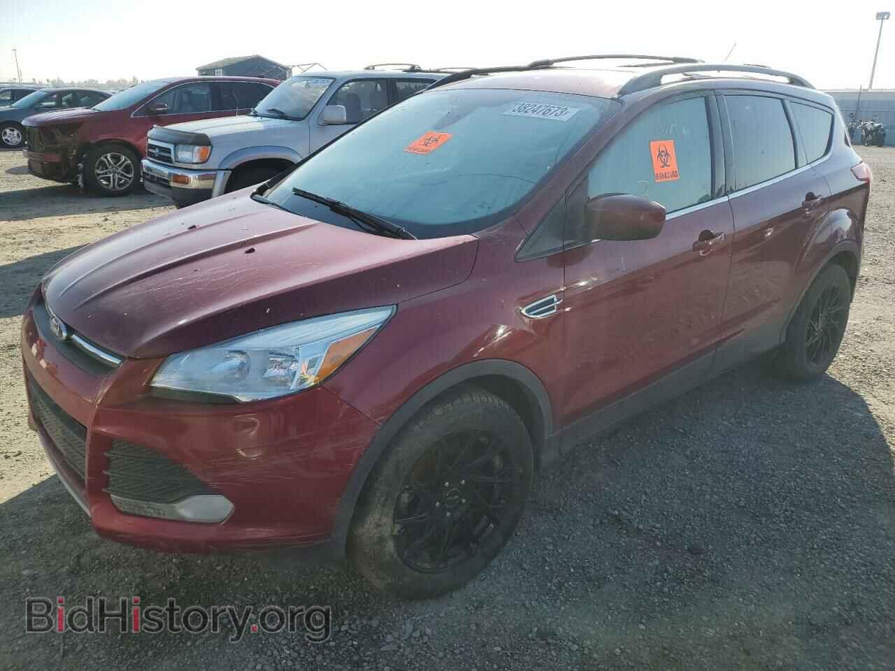 Фотография 1FMCU0GX8DUC24986 - FORD ESCAPE 2013
