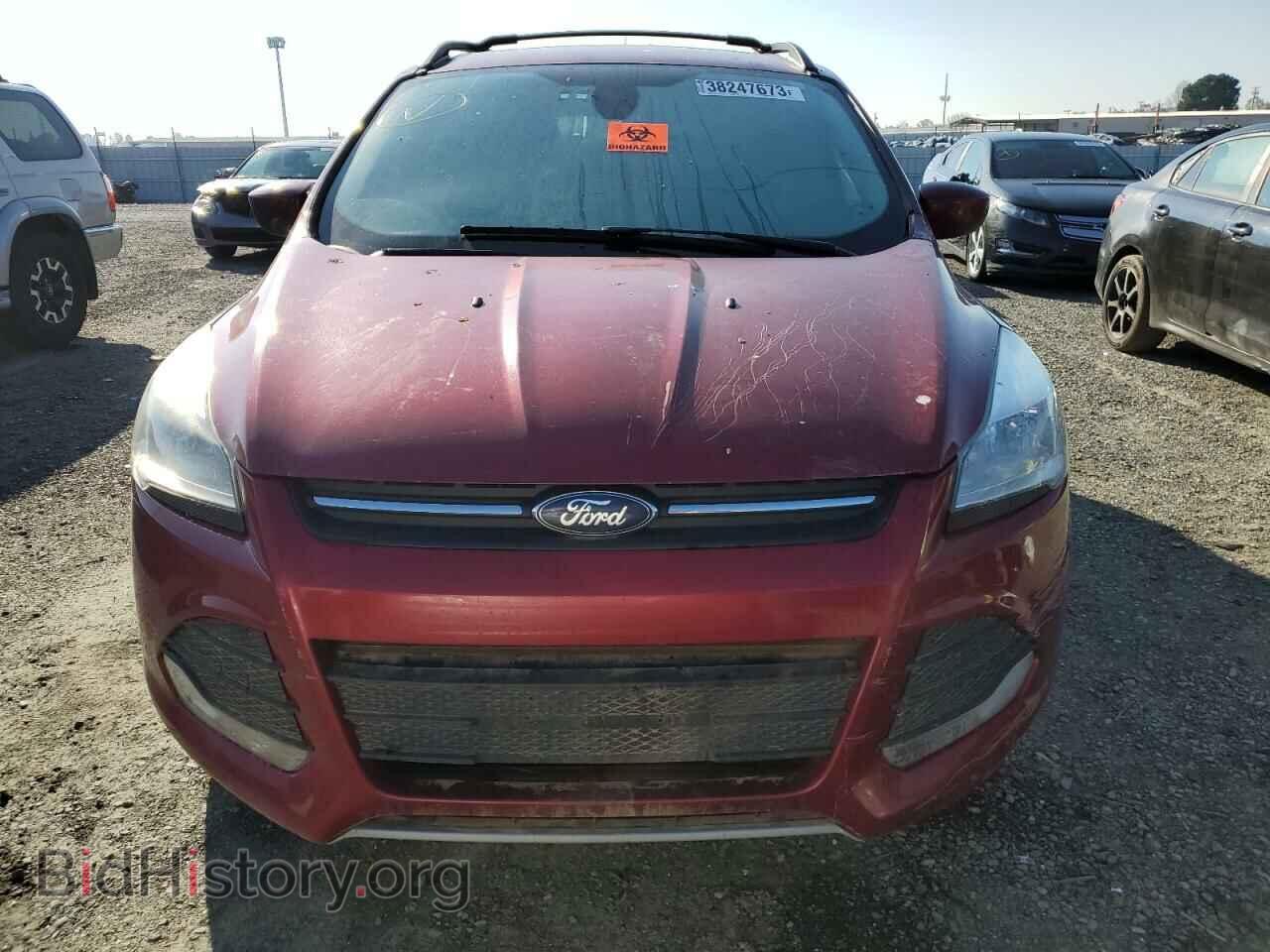 2013 FORD ESCAPE - VIN: 1FMCU0GX8DUC24986 - Фото 5