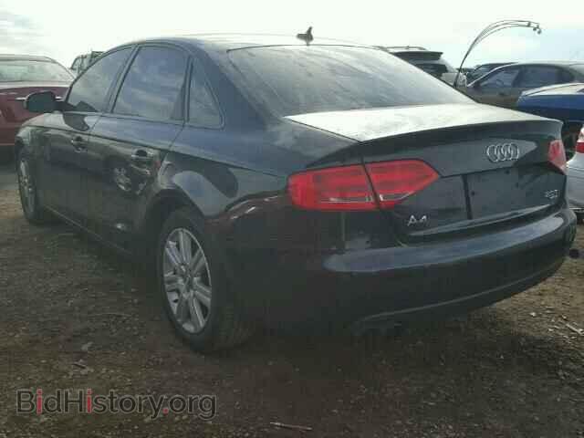 2010 AUDI A4 - VIN: WAUBFAFL8AN010579 - Фото 3