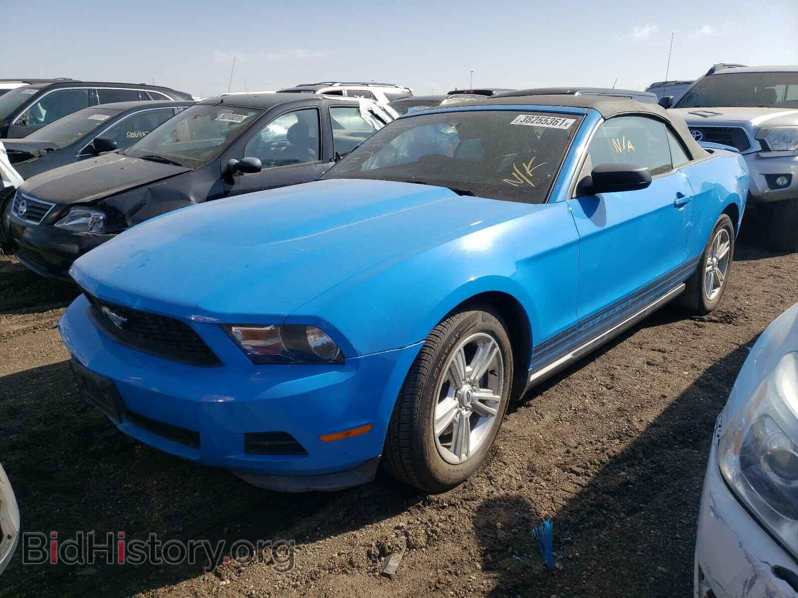 2012 FORD MUSTANG - VIN: 1ZVBP8EM8C5231005 - Фото 2