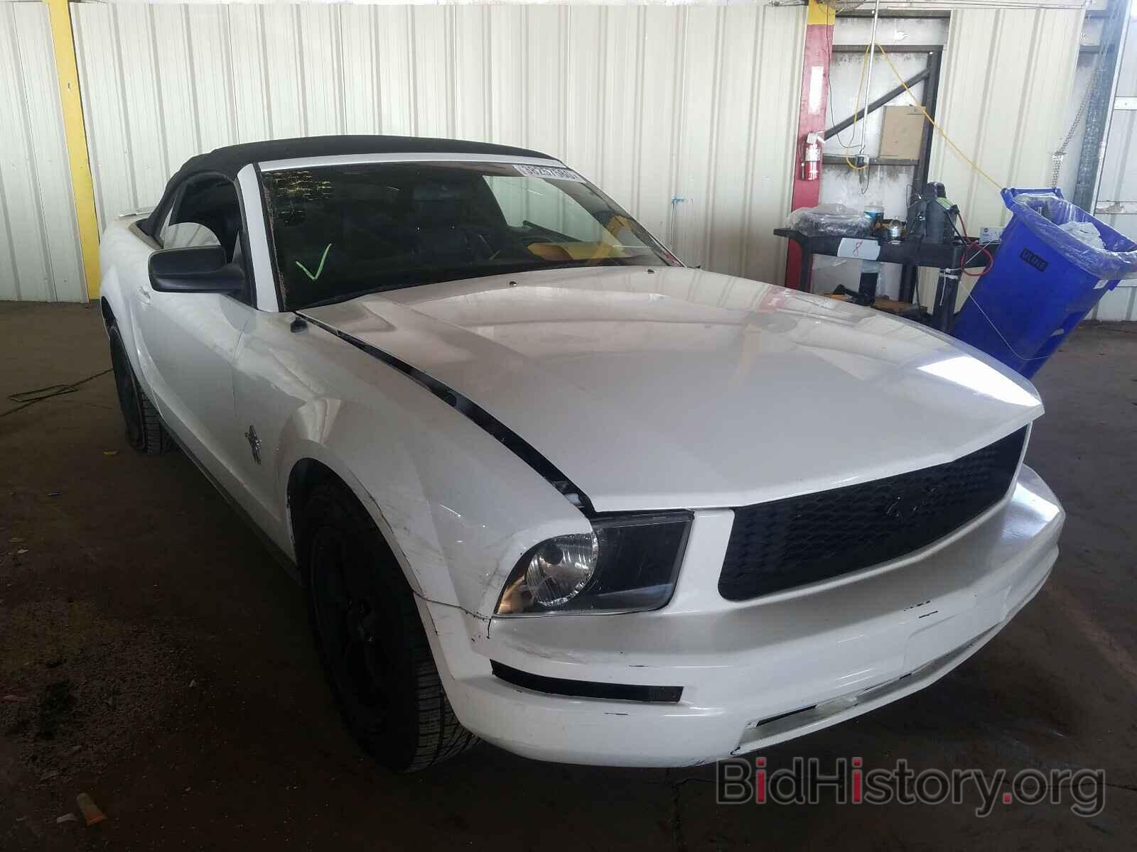 Photo 1ZVHT84N485102458 - FORD MUSTANG 2008