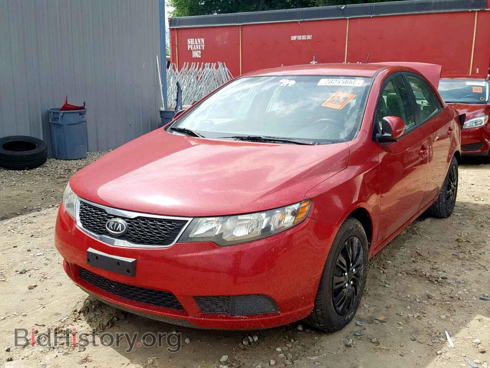 2013 KIA FORTE EX - VIN: KNAFU4A23D5685686 - Фото 2