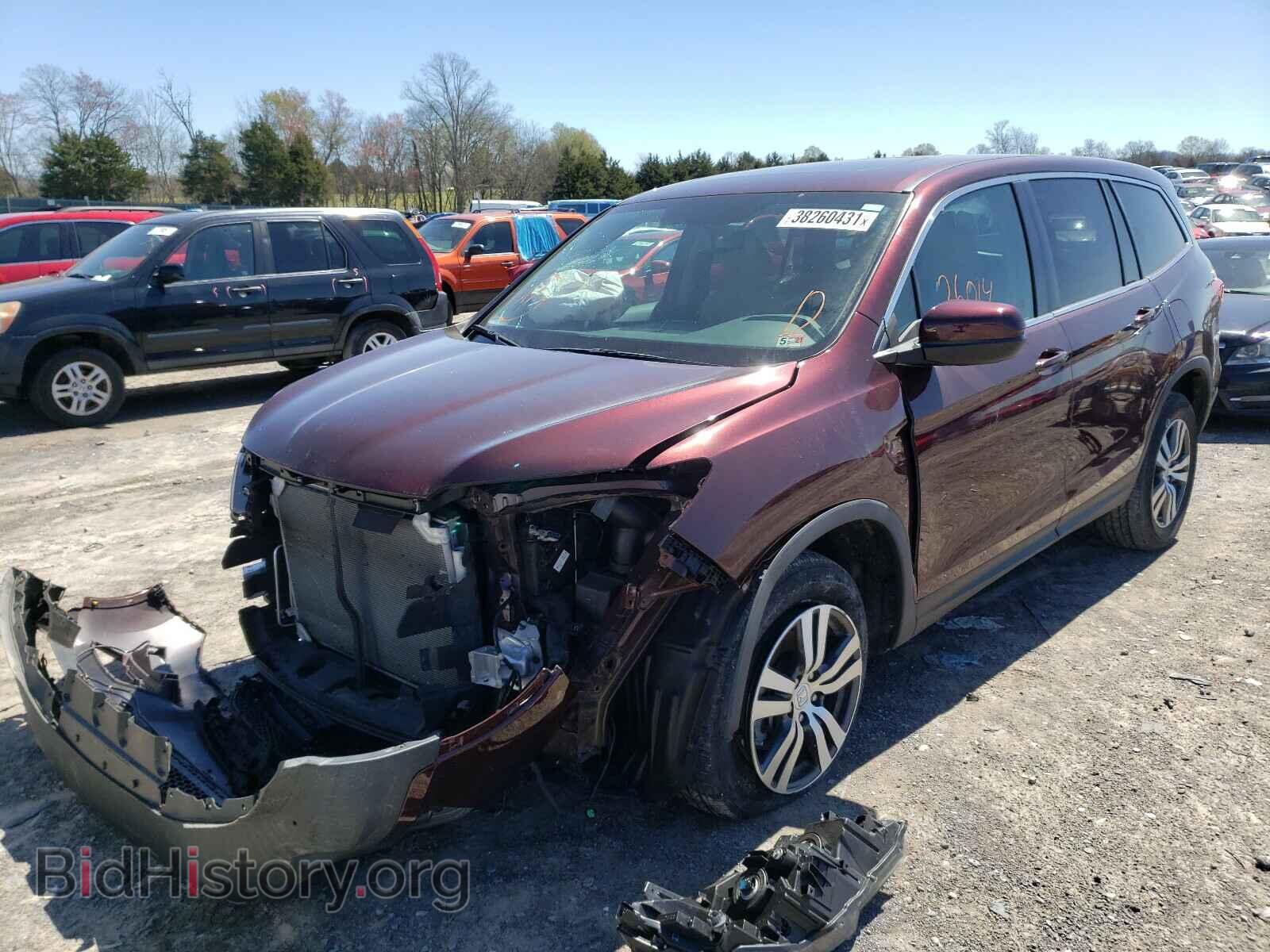 2017 HONDA PILOT - VIN: 5FNYF6H76HB011068 - Фото 2