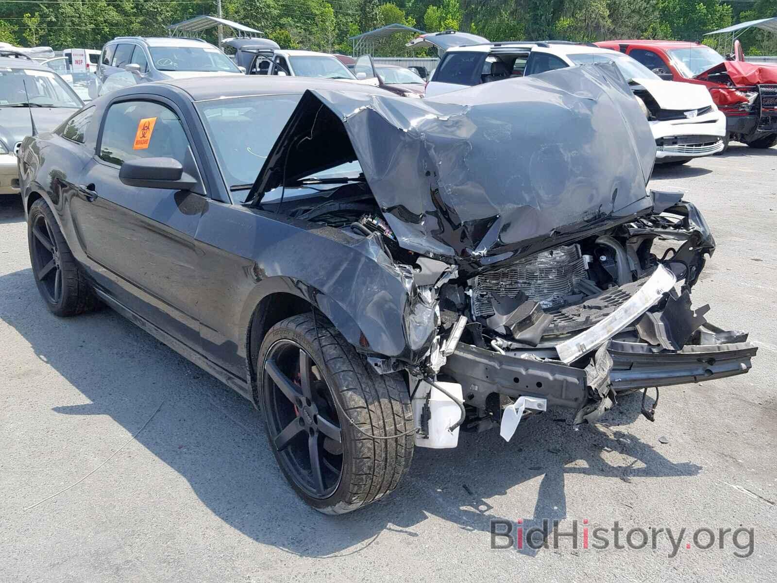Photo 1ZVBP8AM0E5286542 - FORD MUSTANG 2014