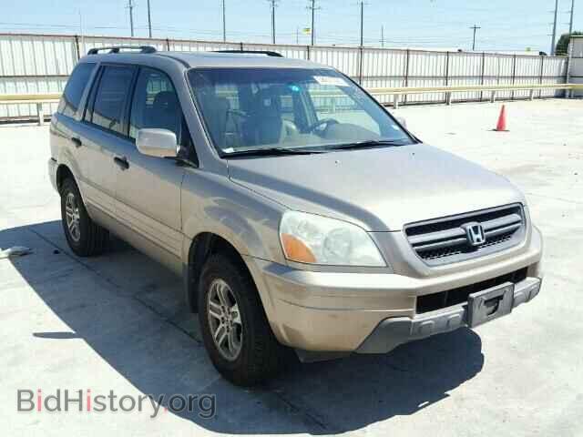 Фотография 5FNYF18645B009020 - HONDA PILOT 2005