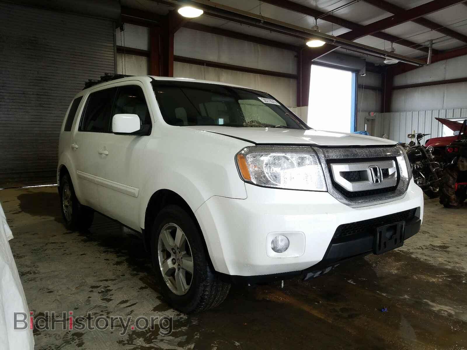 Фотография 5FNYF48459B007539 - HONDA PILOT 2009