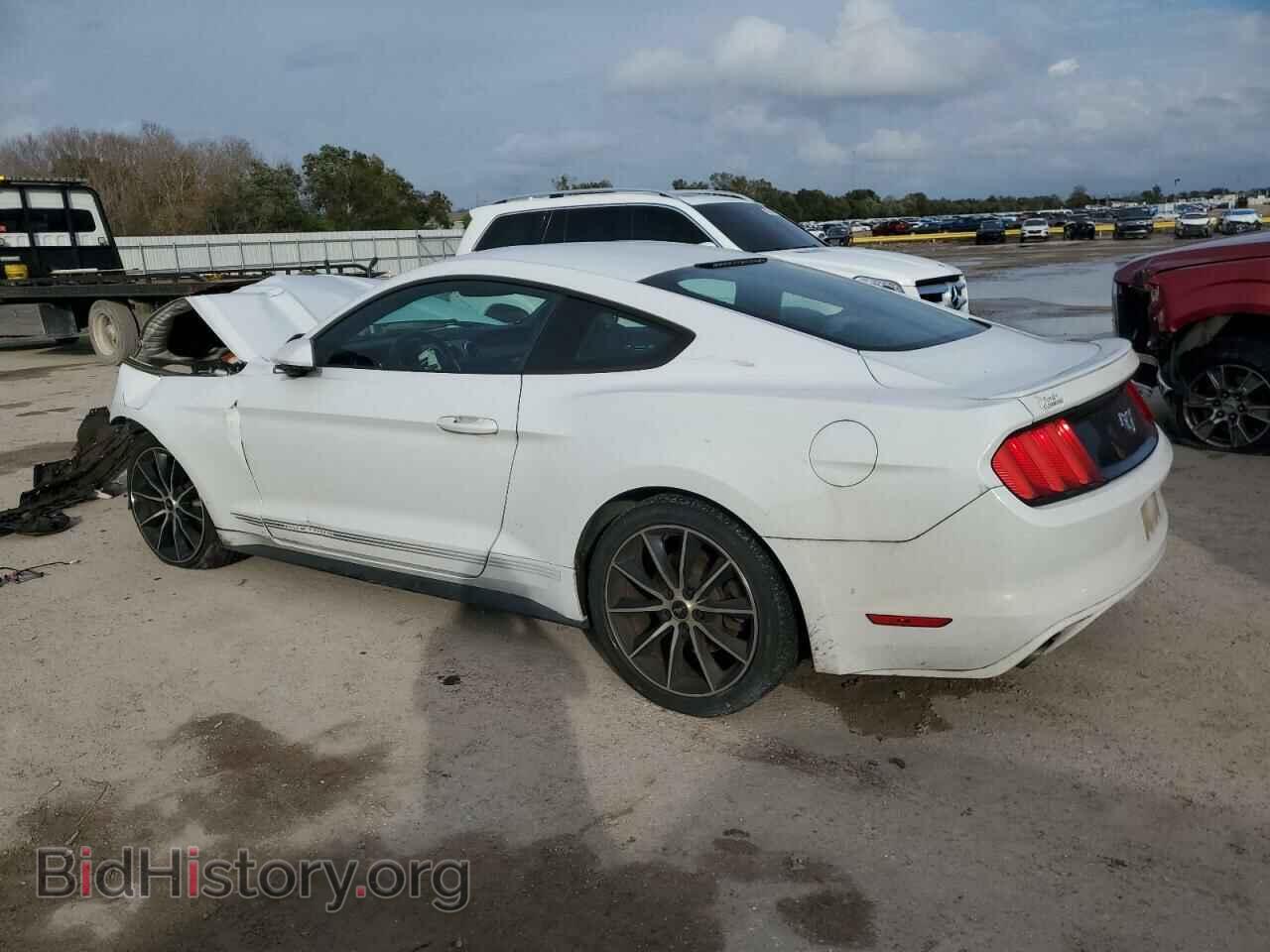 2017 FORD ALL Models - VIN: 1FA6P8TH7H5343284 - Фото 2