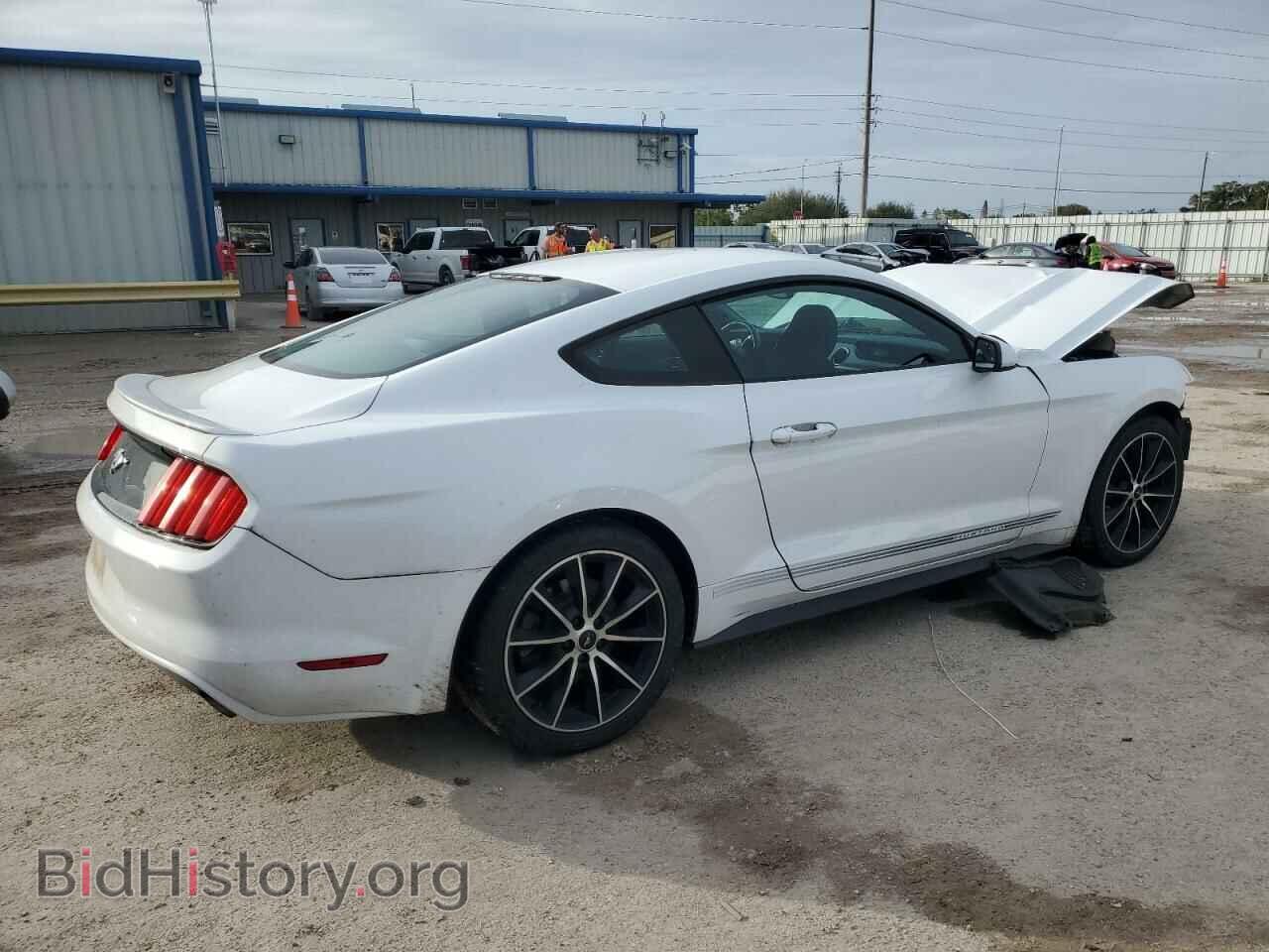 2017 FORD ALL Models - VIN: 1FA6P8TH7H5343284 - Фото 3