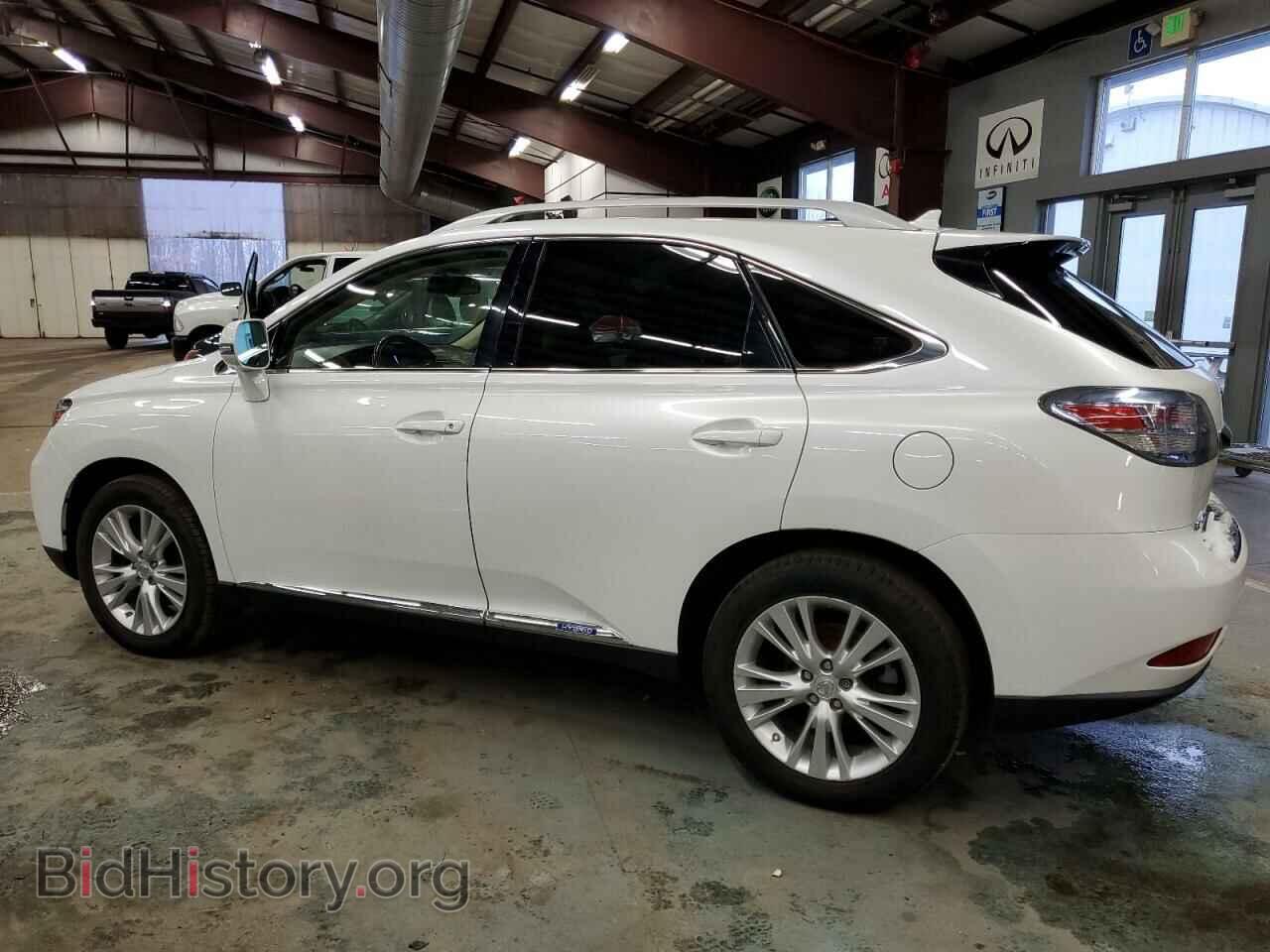 2010 LEXUS RX450 - VIN: JTJBC1BA8A2408910 - Фото 2