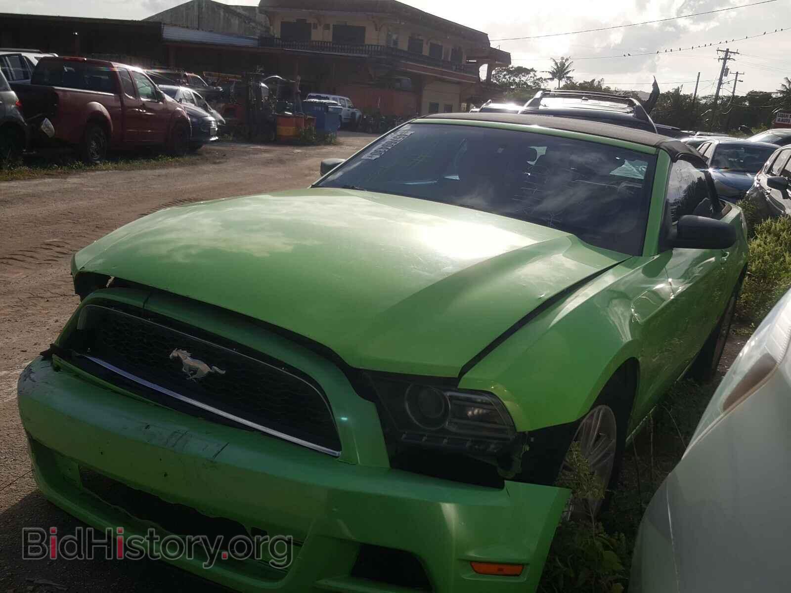 2014 FORD MUSTANG - VIN: 1ZVBP8EM7E5255492 - Фото 2