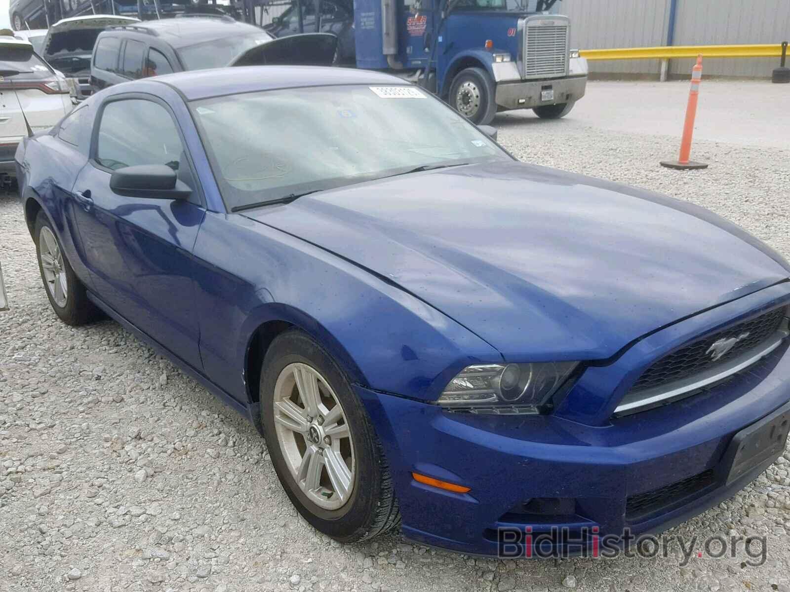 Photo 1ZVBP8AMXD5209272 - FORD MUSTANG 2013