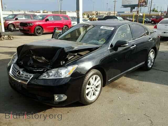 2010 LEXUS ES350 - VIN: JTHBK1EG6A2363633 - Фото 2