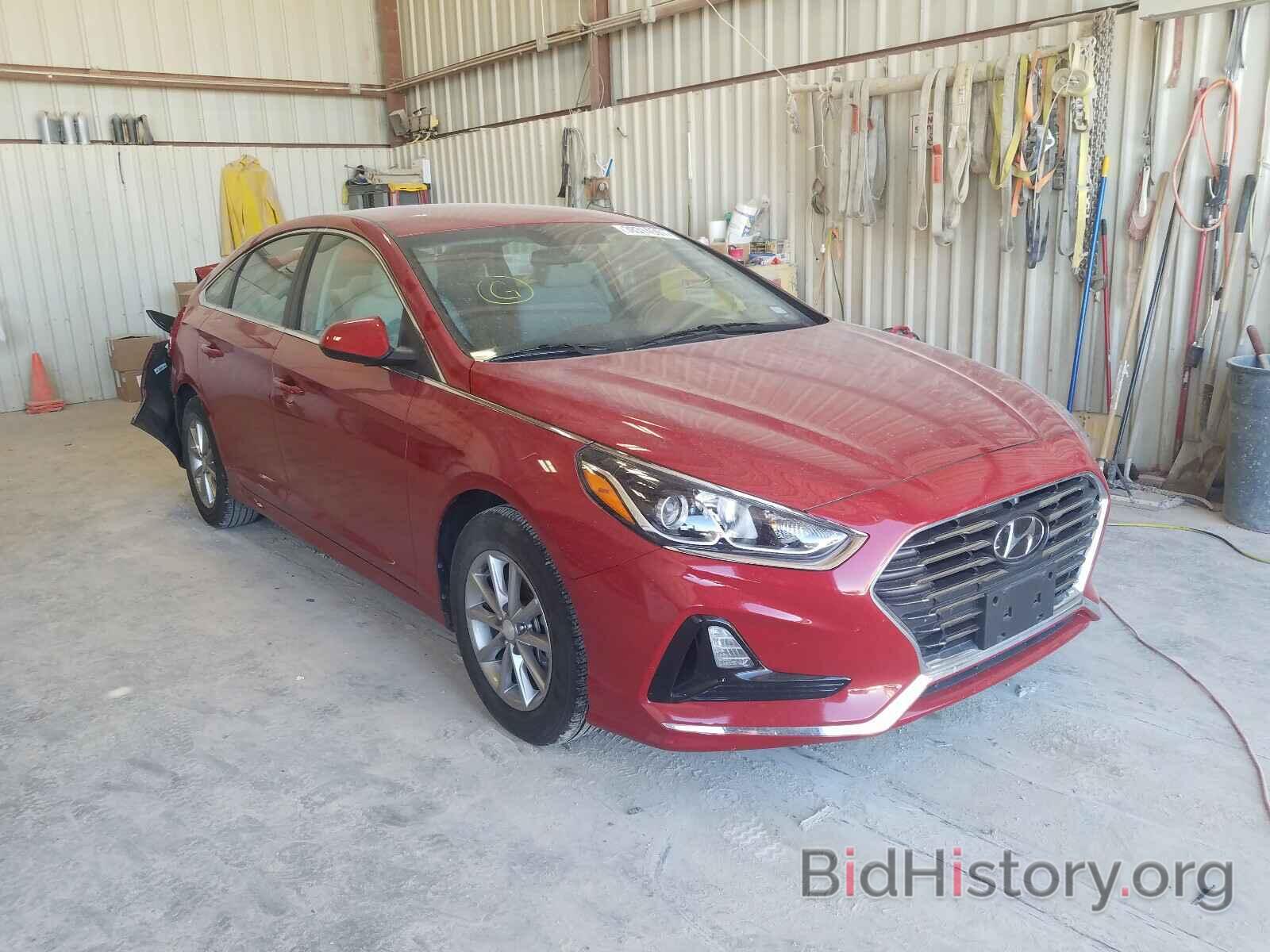 Photo 5NPE24AF5KH784711 - HYUNDAI SONATA 2019