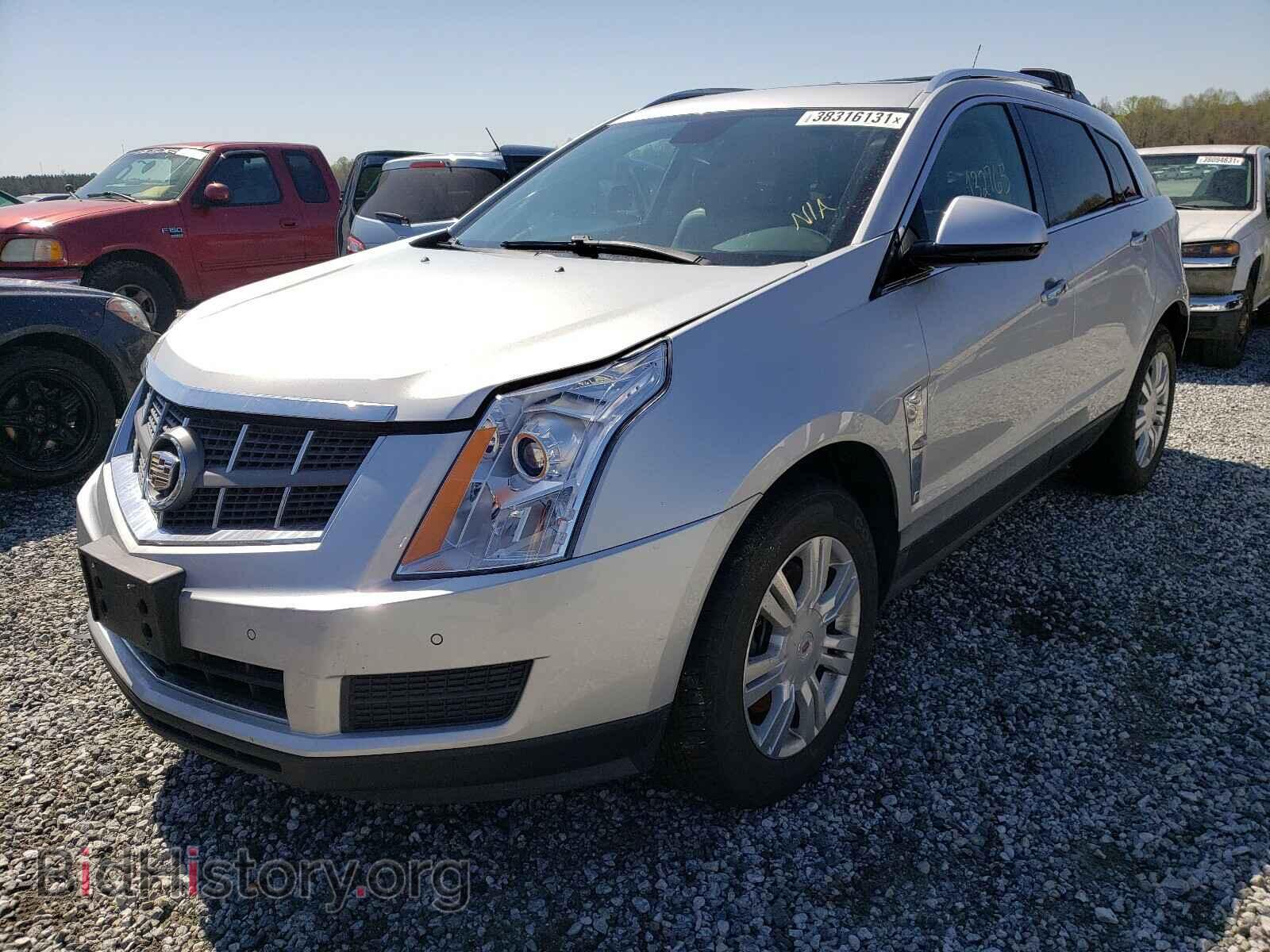 2011 CADILLAC SRX - VIN: 3GYFNDEY1BS515709 - Фото 2