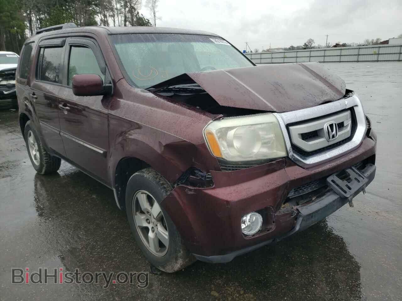 Фотография 5FNYF38559B011576 - HONDA PILOT 2009