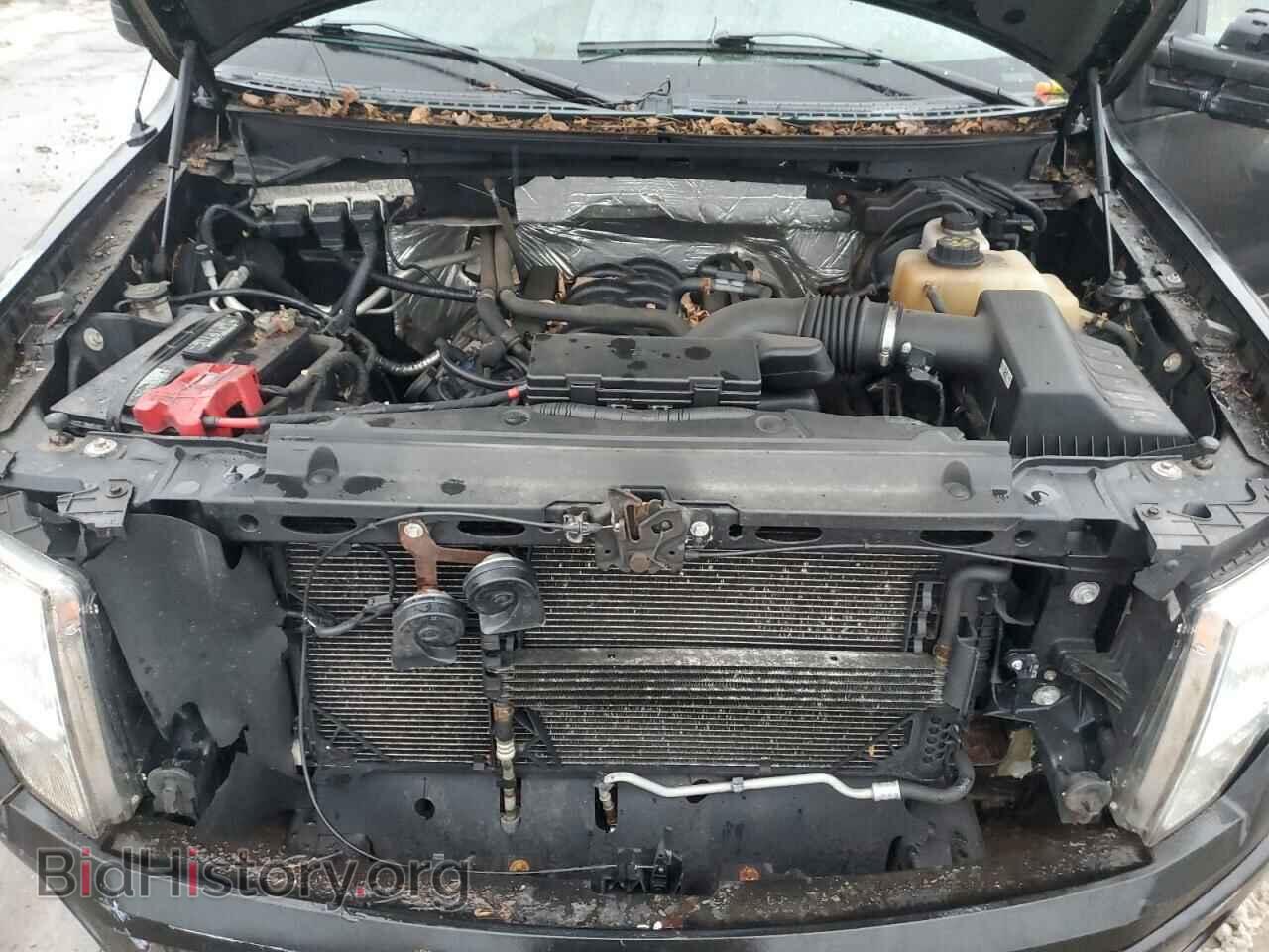 2013 FORD F-150 - VIN: 1FTFX1EFXDFB33537 - Фото 11