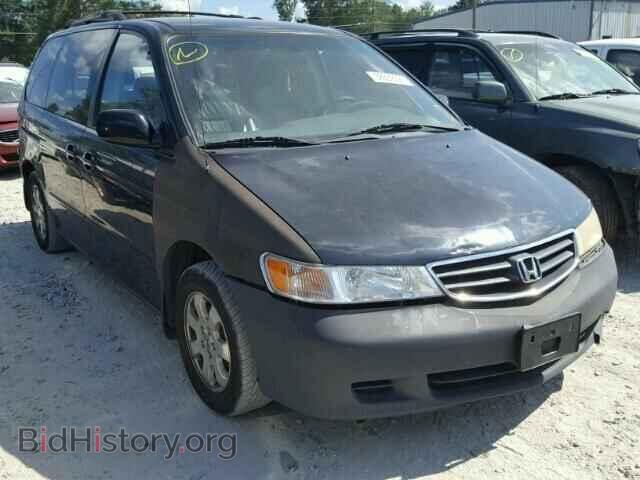 Фотография 5FNRL18063B096294 - HONDA ODYSSEY 2003