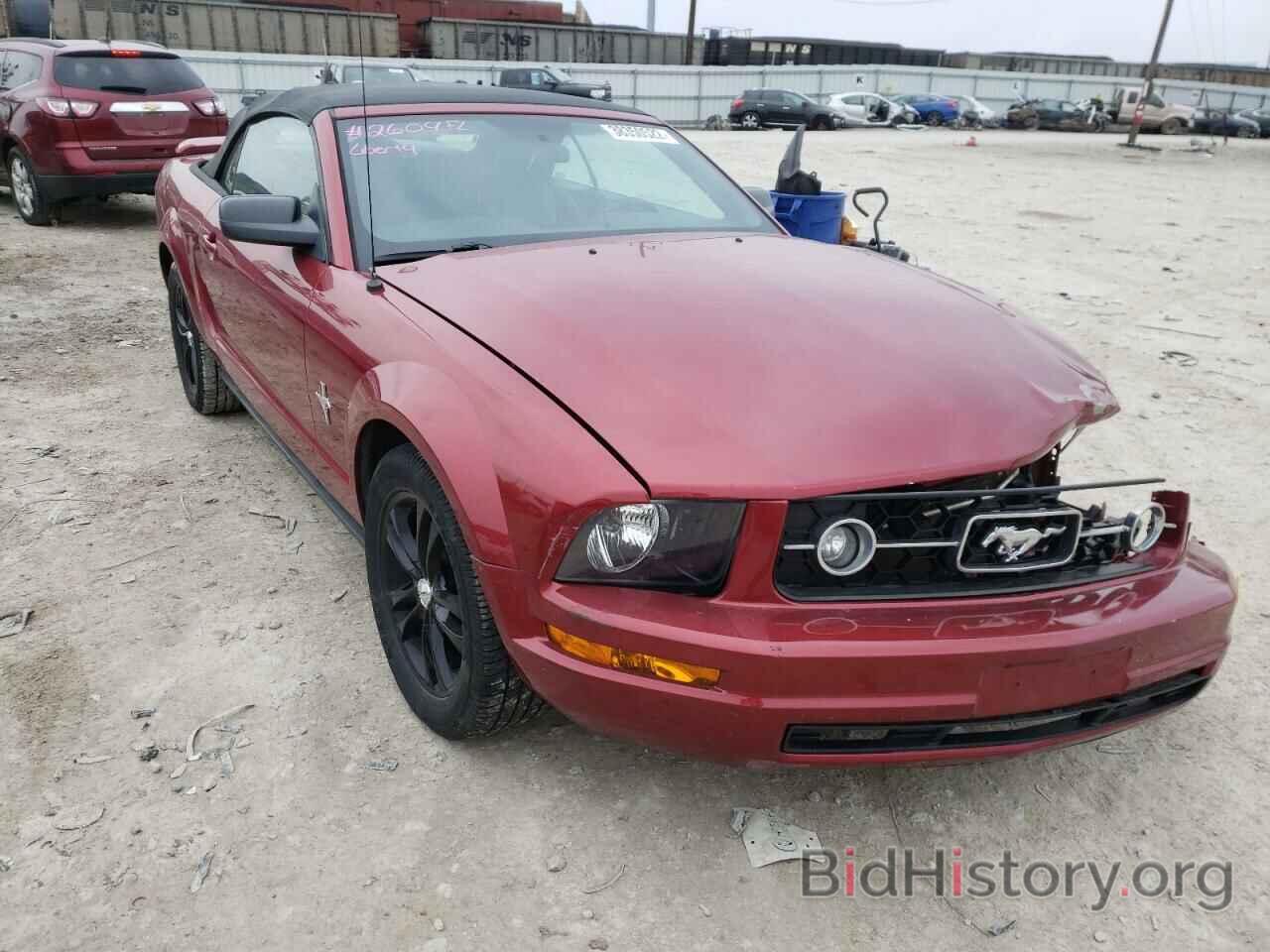 Photo 1ZVFT84NX65229185 - FORD MUSTANG 2006